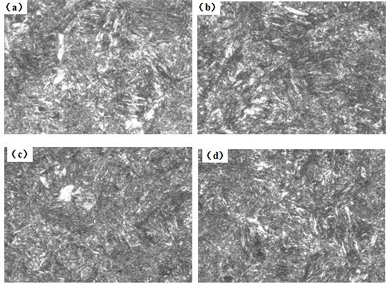 圖12-15 （a、b、c、d） 1～4號(hào)樣金相組織 500×