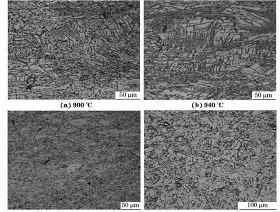圖５ 在不同溫度、應變速率為０．０１０s－１下壓縮至應變量為７０％后GH４１６９合金的顯微組織