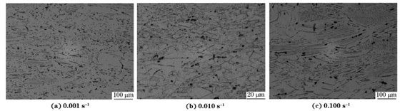 圖６ 在９８０ ℃、不同應變速率下壓縮至應變量為７０％后GH４１６９合金的顯微組織