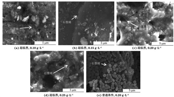 圖２ 兩種條件不同 GO質(zhì)量濃度下制備復合電鑄層的SEM 形貌