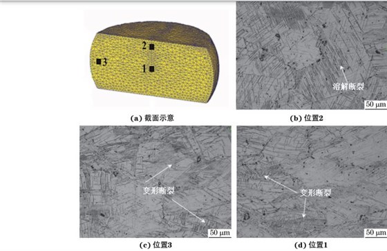 在９８０ ℃、應(yīng)變速率為０．０１０s－１下壓縮至應(yīng)變量為３０％后