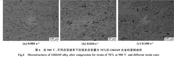 圖６ 在９８０ ℃、不同應(yīng)變速率下壓縮至應(yīng)變量為７０％