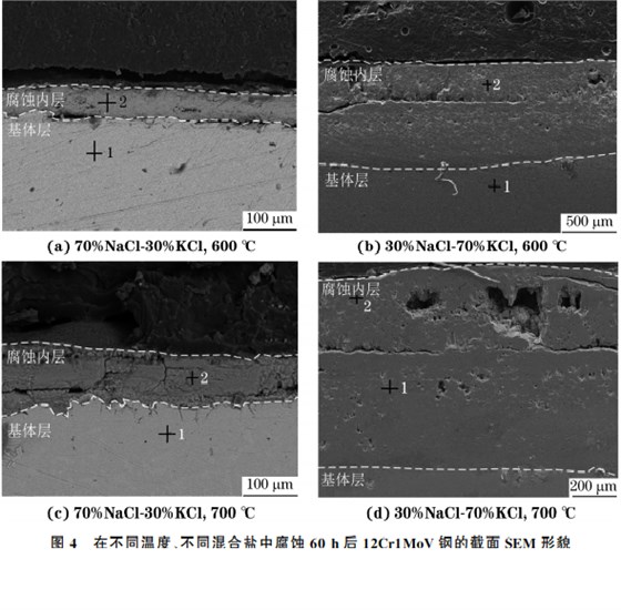 在不同溫度、不同混合鹽中腐蝕６０h后１２Cr１MoV鋼的截面SEM 形貌