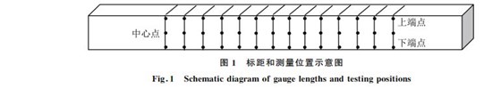 圖１ 標(biāo)距和測量位置示意圖