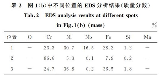 表２ 圖１(b)中不同位置的 EDS分析結果(質量分數(shù))