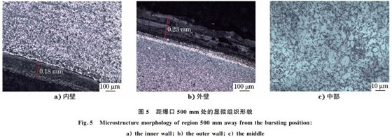 圖５ 距爆口５００mm 處的顯微組織形貌