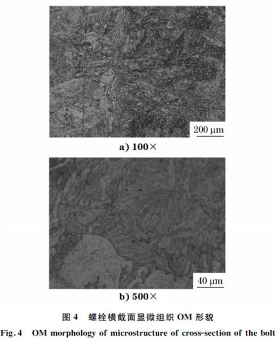 圖４ 螺栓橫截面顯微組織 OM 形貌