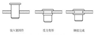 拉鉚螺母壓接過程