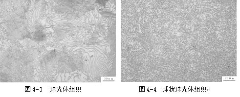 珠光體金相組織