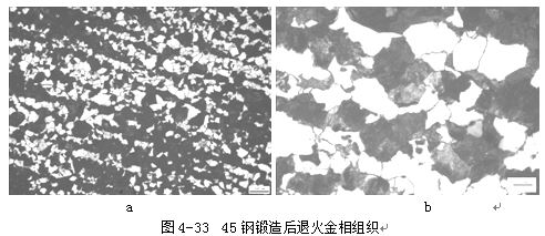 鋼鍛造后退火金相組織