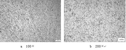 ML16CrSiNi長托板螺母未熱處理的金相組織，可見變形痕跡