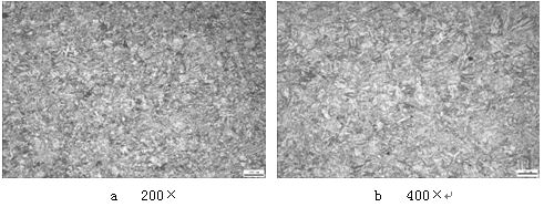 1Cr12Ni2WMoVNb 螺栓淬火回火金相組織