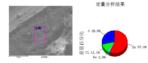 圖13-4 A區(qū)斷面形貌及能譜分析