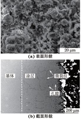 圖６ 高速電弧噴涂FeＧCrＧBＧCＧAl涂層高溫腐蝕試驗(yàn)后的SEM 形貌