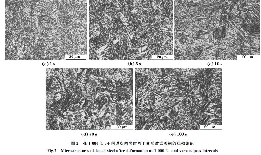 圖２ 在１０００ ℃、不同道次間隔時(shí)間下變形后試驗(yàn)鋼的顯微組織