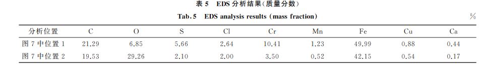 表５ EDS分析結(jié)果(質(zhì)量分數(shù))