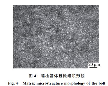 圖４ 螺栓基體顯微組織形貌