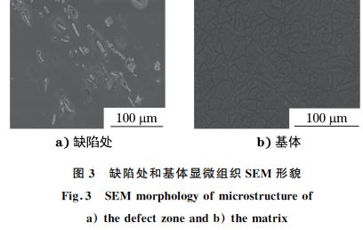 圖３ 缺陷處和基體顯微組織SEM 形貌