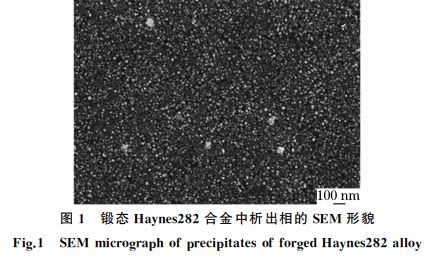 圖１ 鍛態(tài) Haynes２８２合金中析出相的SEM 形貌