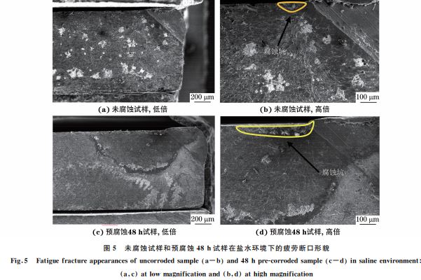 圖５ 未腐蝕試樣和預(yù)腐蝕４８h試樣在鹽水環(huán)境下的疲勞斷口形貌