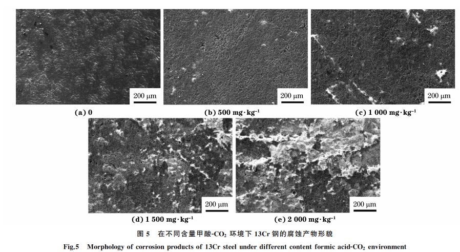 圖５ 在不同含量甲酸ＧCO２ 環(huán)境下１３Cr鋼的腐蝕產(chǎn)物形貌