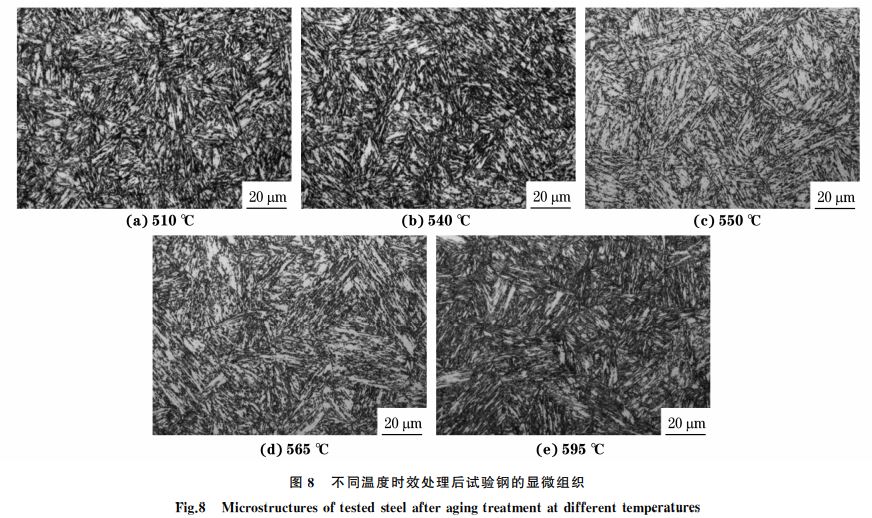 圖８ 不同溫度時效處理后試驗鋼的顯微組織