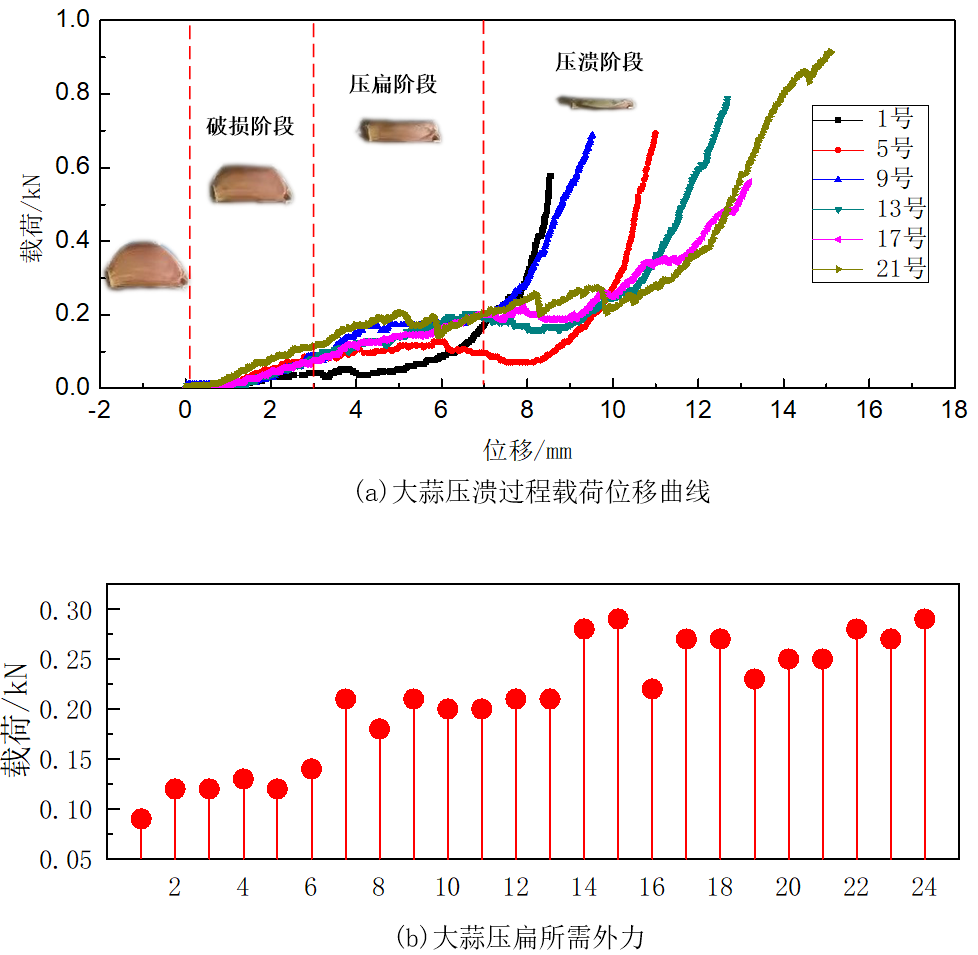 圖4大蒜破壞實驗結果